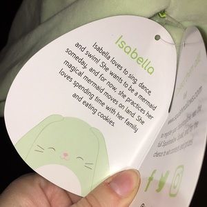Squishmallow Isabella Mint Bunny 